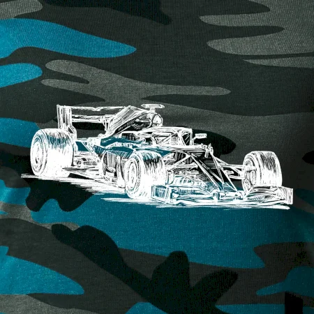 Formule v závodě
