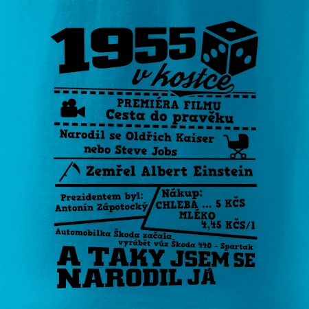 1955 v kostce