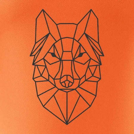 Geometrie - vlk
