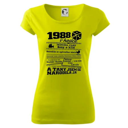 1988 v kostce