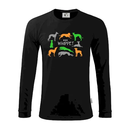 Whippet barevný