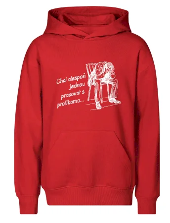 Chci alespoň jednou pracovat s profíkama