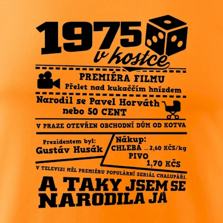 1975 v kostce