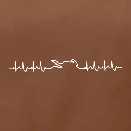 Moto EKG