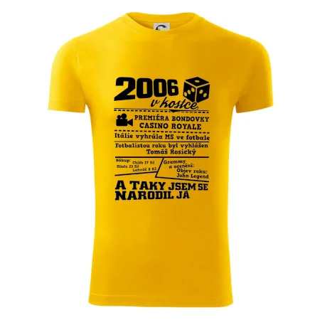 2006 v kostce