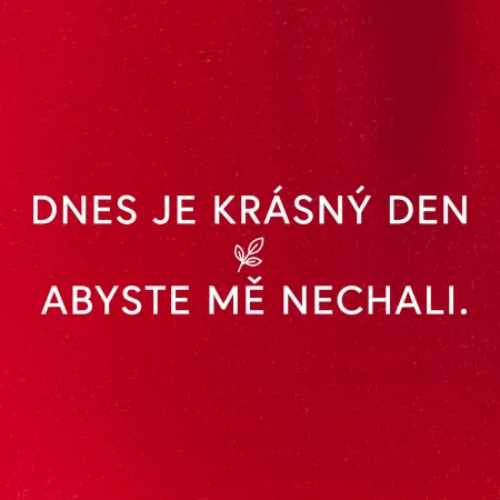 Dnes je krásný den abyste mě nechali