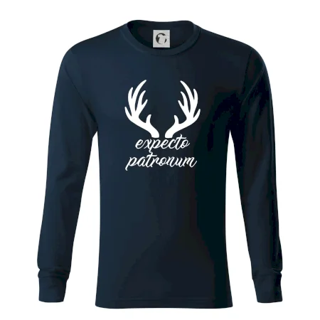 Harry - Expecto patronum