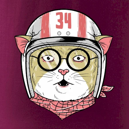 Moto kočka
