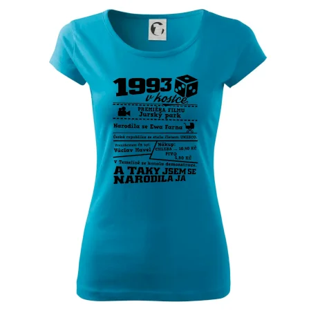 1993 v kostce