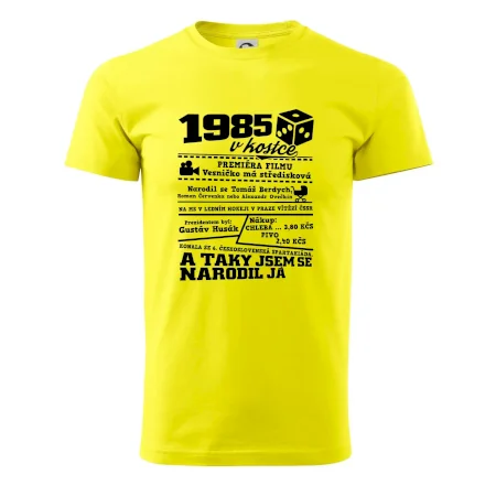 1985 v kostce