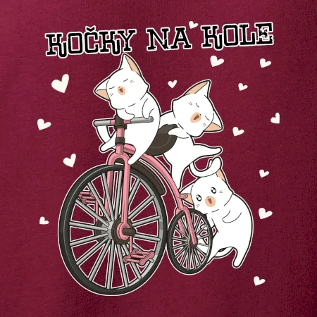 Kočky na kole