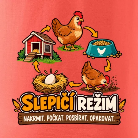 Slepičí režim od krmení po sběr vajec