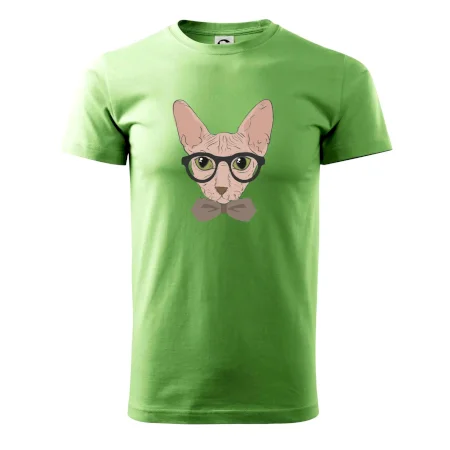 Hipster sphynx