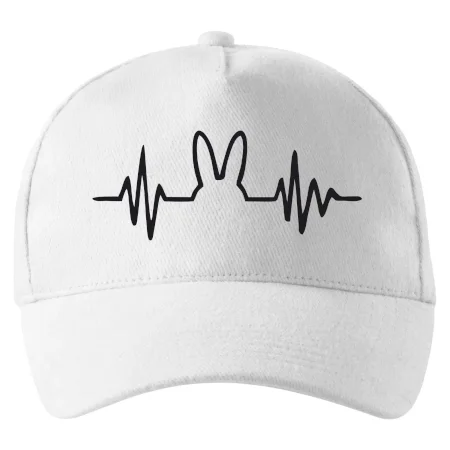 EKG zajíc