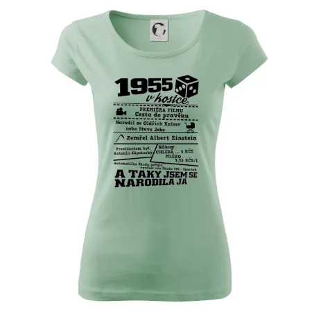 1955 v kostce