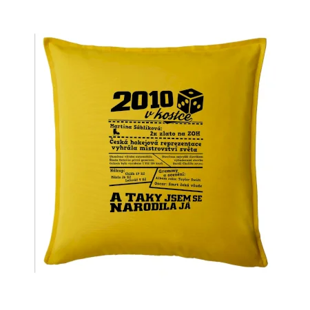 2010 v kostce