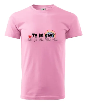 Gay princezna