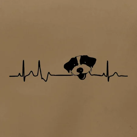 Jack Russell Terriér hrubosrstý Ekg