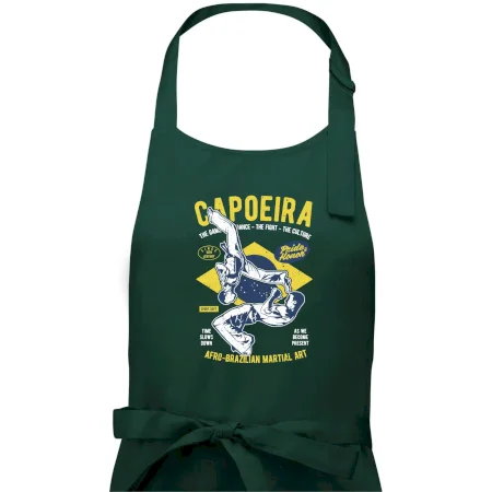Capoeira  Afro-brazil art