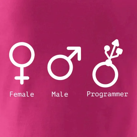 Female male programmer