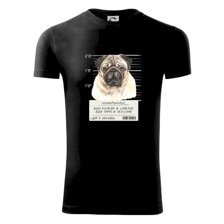 Lump a darebák mopsík