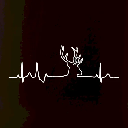 Jelen EKG