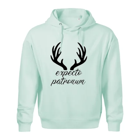 Harry - Expecto patronum
