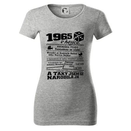 1965 v kostce
