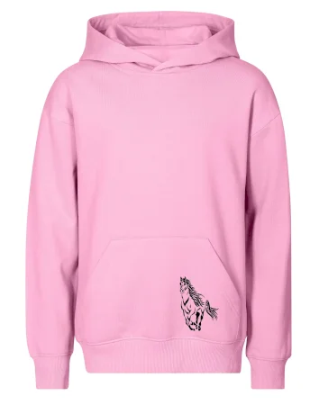 Kůň běžící