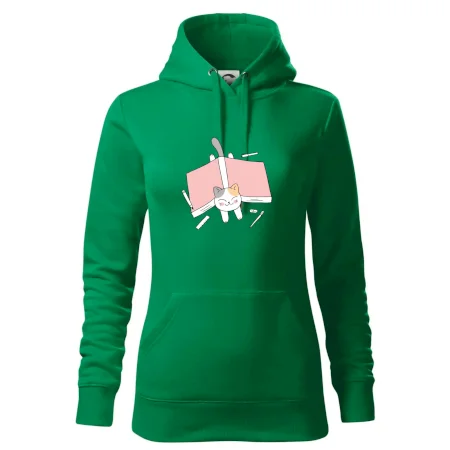 Učení na státnice kočka