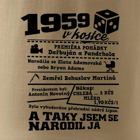 1959 v kostce
