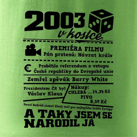 2003 v kostce