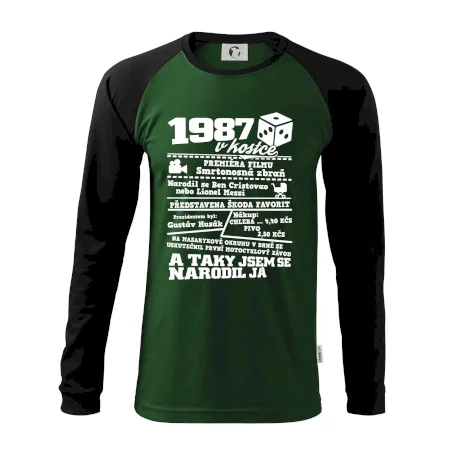 1987 v kostce