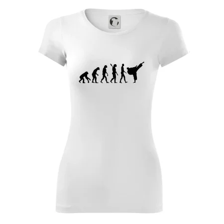 Karate Evoluce - kop