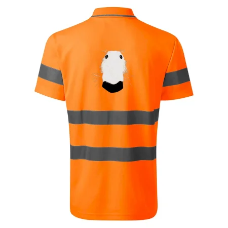 Barzoj čumák (Moňas)