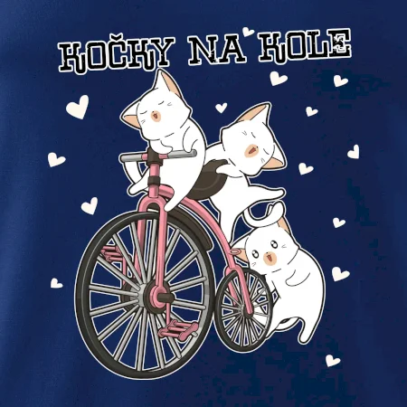 Kočky na kole