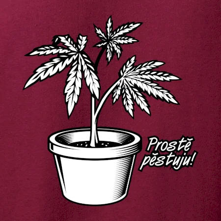 Konopi prostě pěstuju