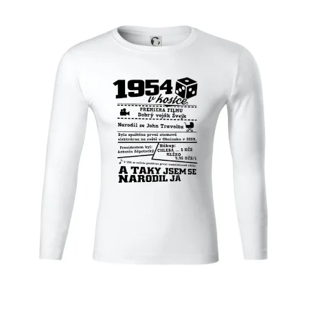 1954 v kostce