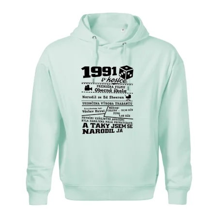 1991 v kostce