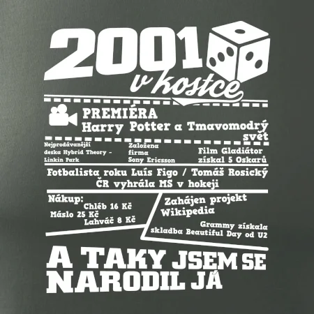 2001 v kostce