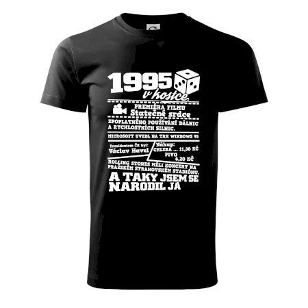 1995 v kostce