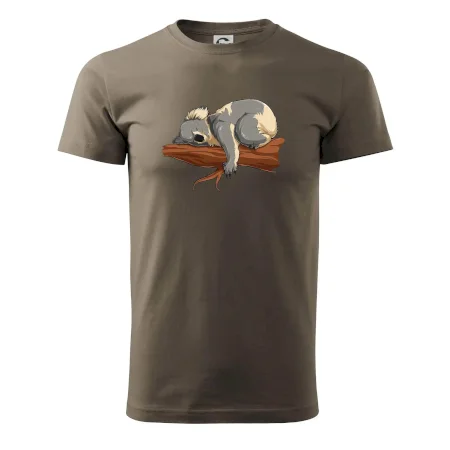 Koala na větvi
