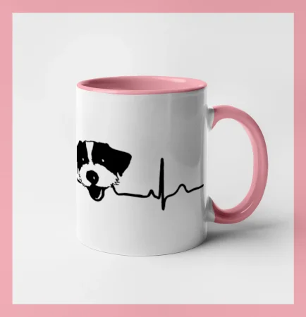 Jack Russell Terriér hrubosrstý Ekg