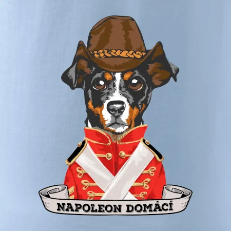 Napoleon domácí pes kříženec