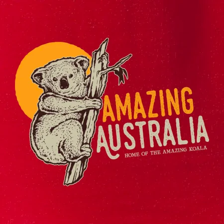 Amazing Australia koala