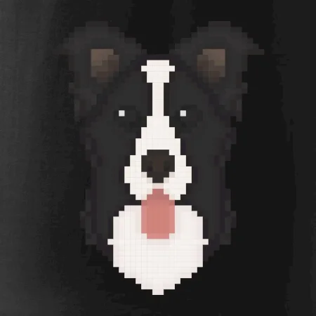 Border kolie Pixel
