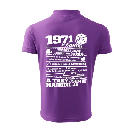 1971 v kostce