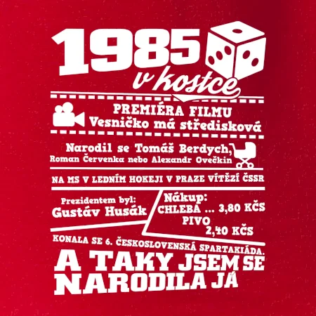 1985 v kostce
