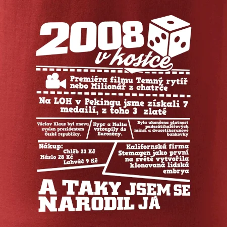 2008 v kostce