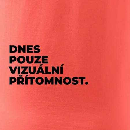 DNES POUZE VIZUÁLNÍ PŘÍTOMNOST.